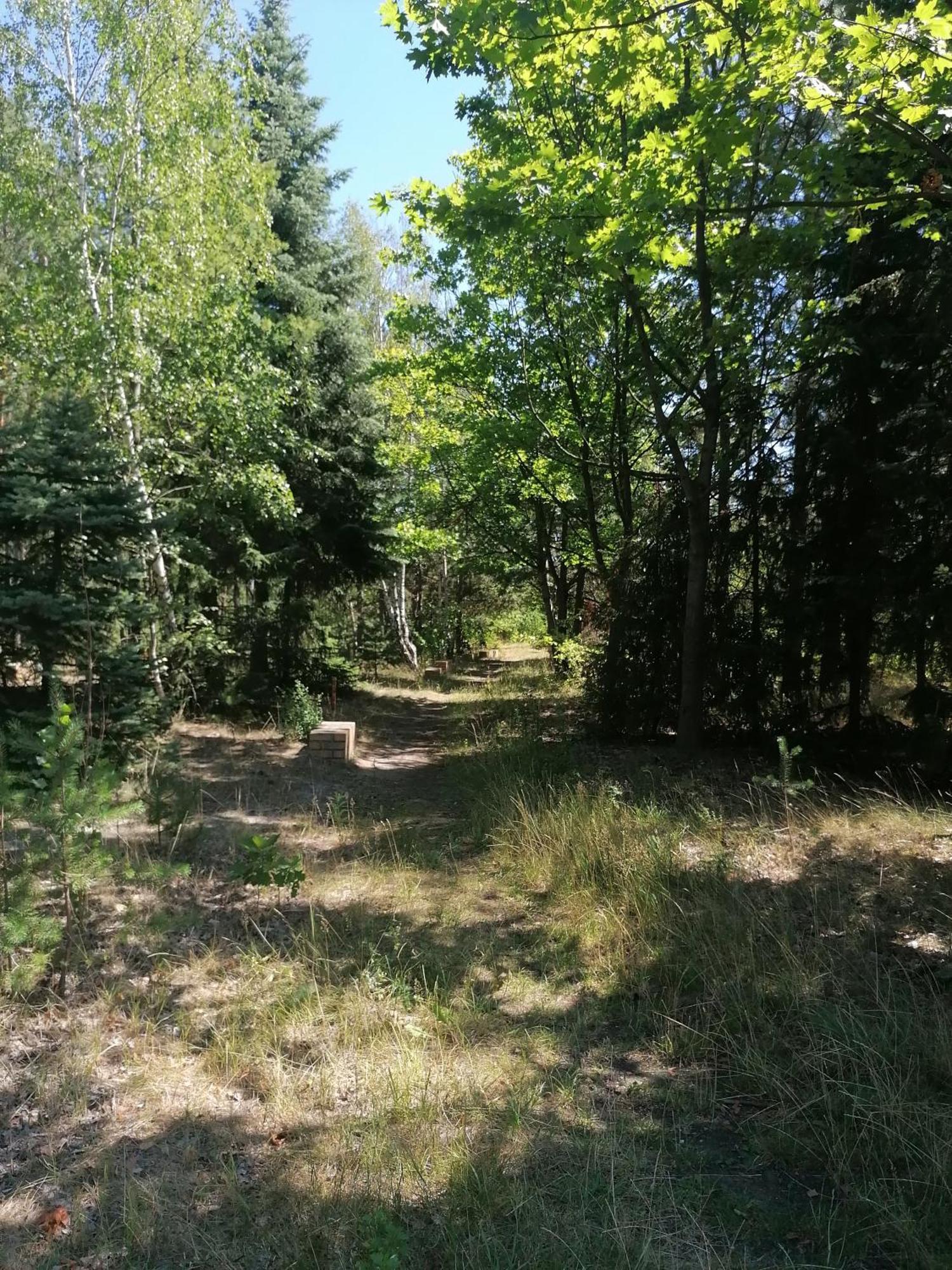 Ferienwohnung Gnubbel Am Wald Weisswasser Esterno foto